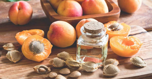 Apricot Seeds: Health Benefits and Risks Explained