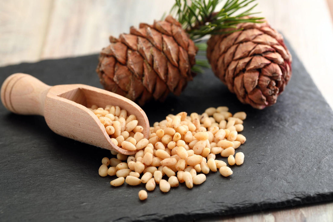 Benefits of Eating Chilgoza (Pine Nuts)