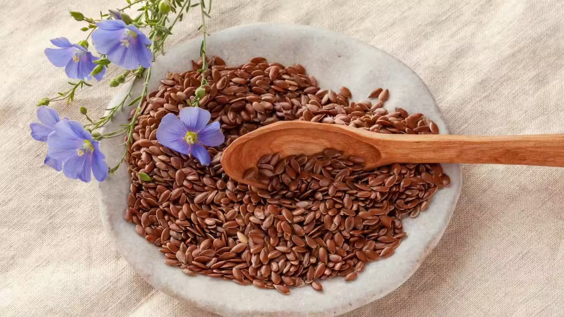 Flax Seeds and Cancer Prevention: What Recent Studies Reveal About Lignans