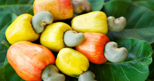 Cashew Apple vs Cashew Nut: Two Treasures from One Tree