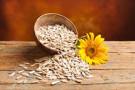 Sunflower Seeds as a Sustainable Protein Source