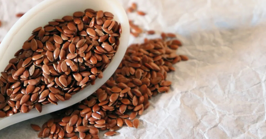 Why Flax Seeds Are a Must-Have for Vegetarians and Vegans