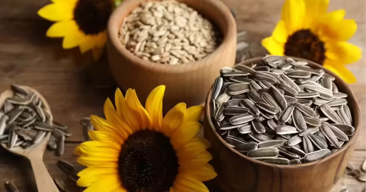 Can Sunflower Seeds Help Manage Diabetes?