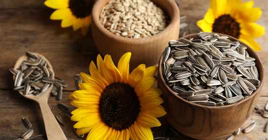 Sunflower seeds for anti-ageing