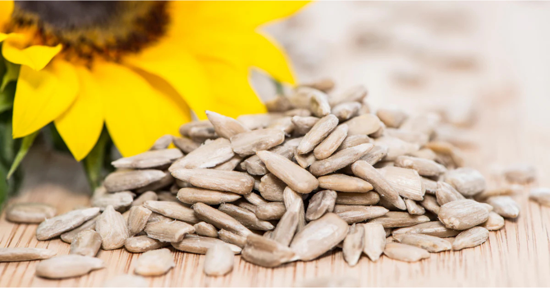 Can sunflower seeds reduce stress