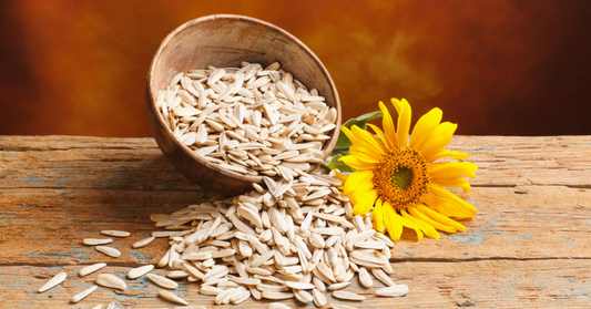 sunflower seeds for cholesterol